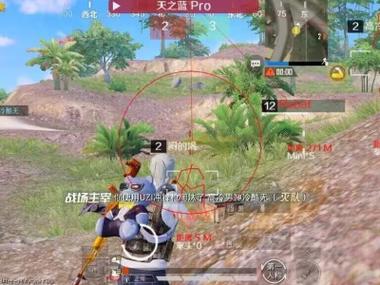 和平精英开挂免费版苹果手机 - iOS专属透视辅助
